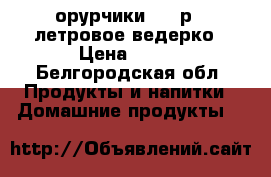 орурчики 200 р 5 летровое ведерко › Цена ­ 200 - Белгородская обл. Продукты и напитки » Домашние продукты   